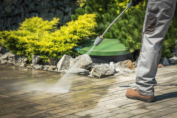 Best Spring Cleaning  in Century, FL