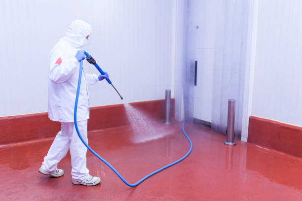 Boat and Dock Cleaning in Century, FL