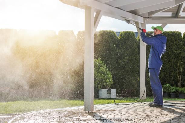 Best Gutter Cleaning  in Century, FL