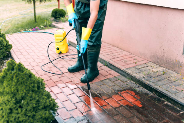 Best Dumpster Area Cleaning  in Century, FL